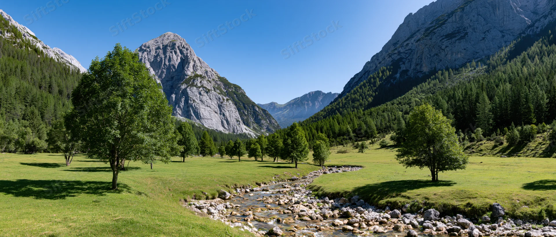 Alpine meadow with stream flowing through green pasture surrounded by rocky mountains and forested slopes under clear blue sky
