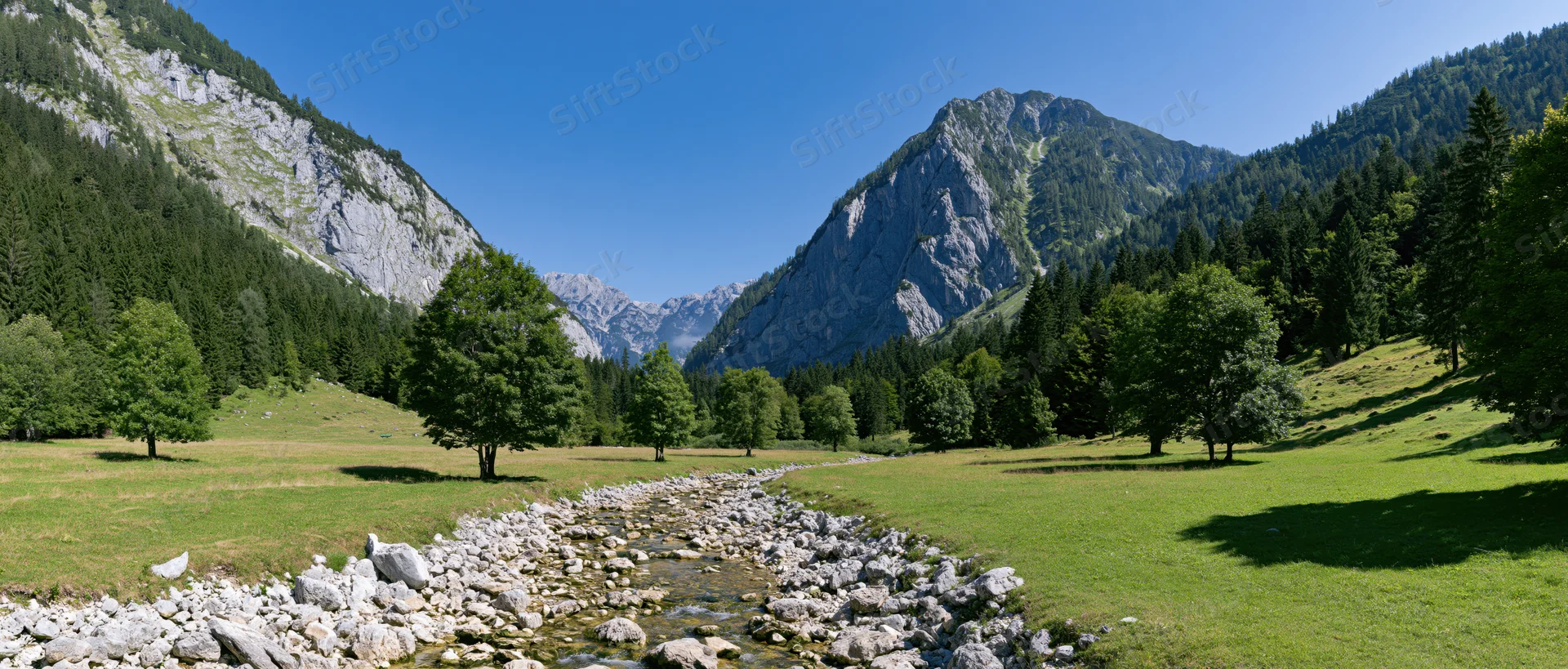 Alpine stream flowing through a green meadow surrounded by rocky mountains and forest under a clear blue sky