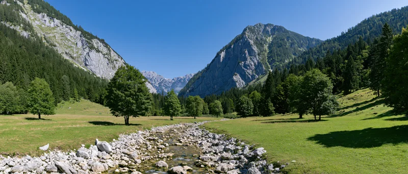 Alpine stream flowing through a green meadow surrounded by rocky mountains and forest under a clear blue sky