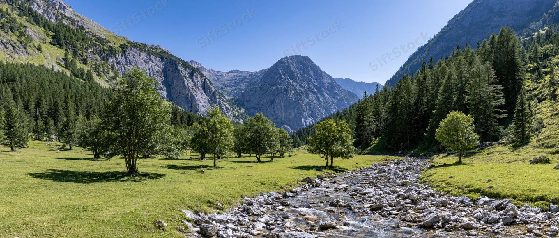 Alpine meadow with stream flowing through green valley surrounded by rocky mountains and pine forest