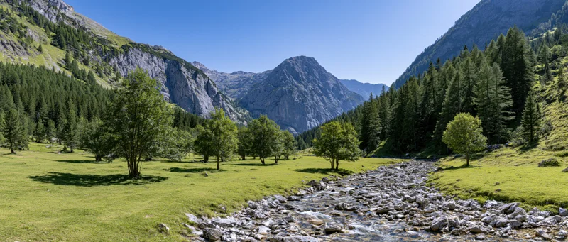 Alpine meadow with stream flowing through green valley surrounded by rocky mountains and pine forest