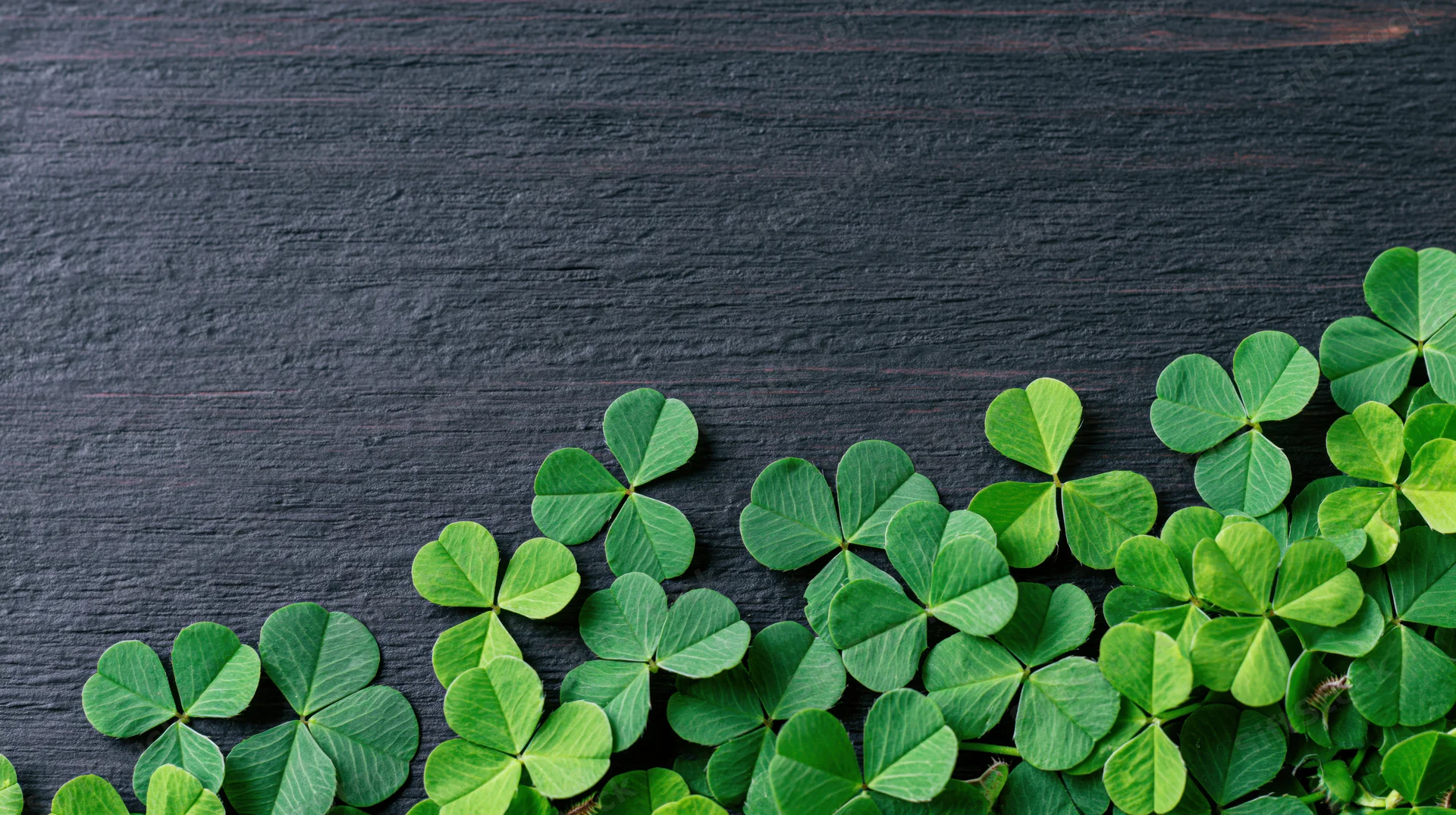 Green clover leaves arranged in a border along the bottom of a dark wooden surface with copyspace above