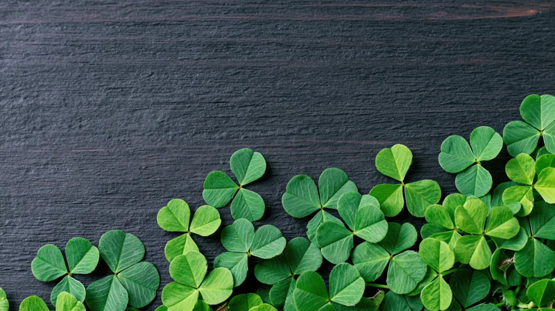 Green clover leaves arranged in a border along the bottom of a dark wooden surface with copyspace above