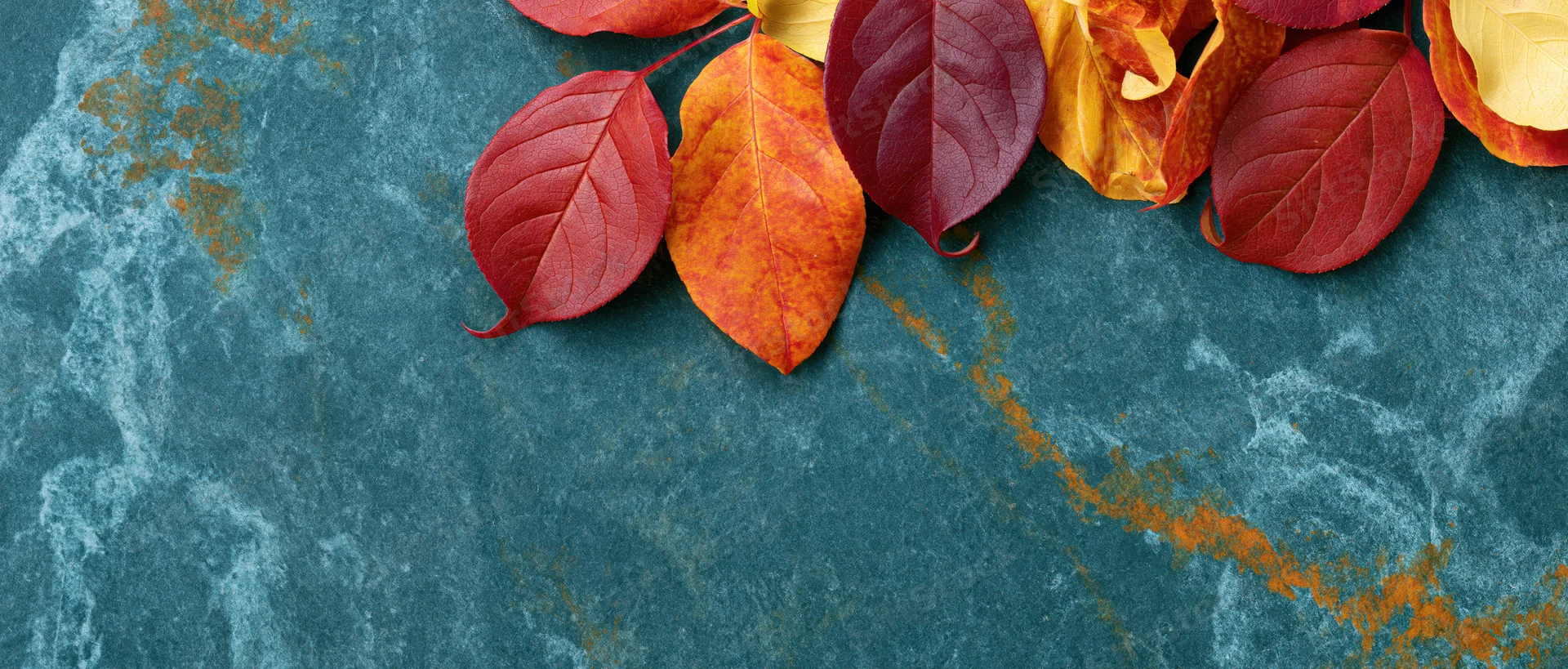 Autumn leaves arranged on a textured blue stone surface with copyspace