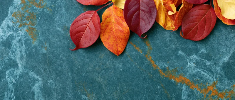 Autumn leaves arranged on a textured blue stone surface with copyspace
