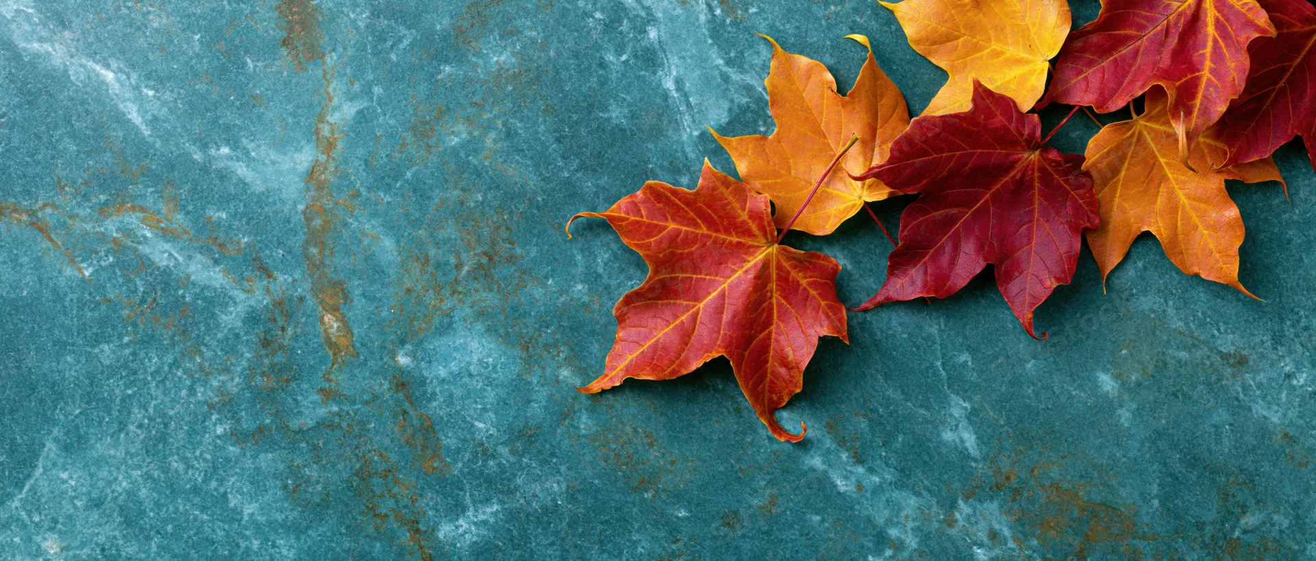 Maple leaves arranged on a textured blue stone surface with copyspace