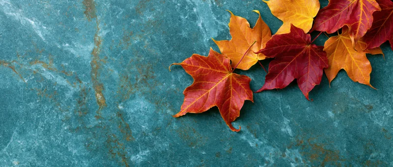 Maple leaves arranged on a textured blue stone surface with copyspace