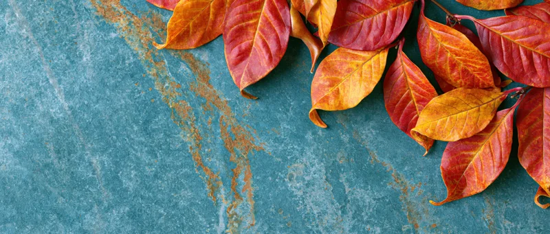 Autumn leaves arranged in a border on a weathered blue surface with copyspace