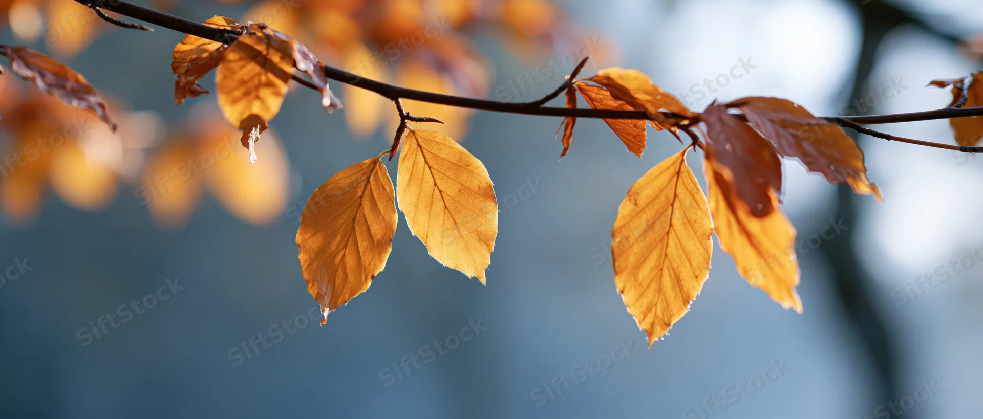 Autumn leaves on a branch against a blurred blue background with copyspace
