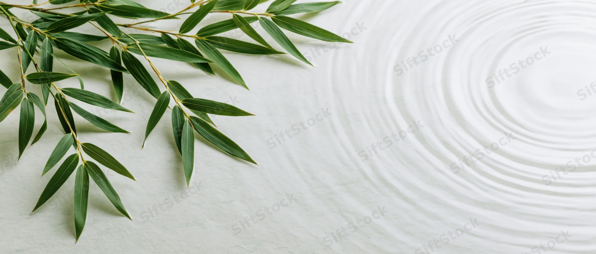 Bamboo leaves arranged on white sand with ripples forming a circular pattern