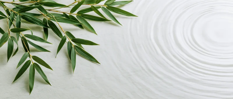 Bamboo leaves arranged on white sand with ripples forming a circular pattern