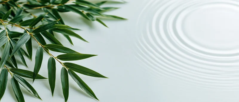 Bamboo leaves arranged on a white surface with water ripple pattern, creating a minimalist zen composition with copyspace