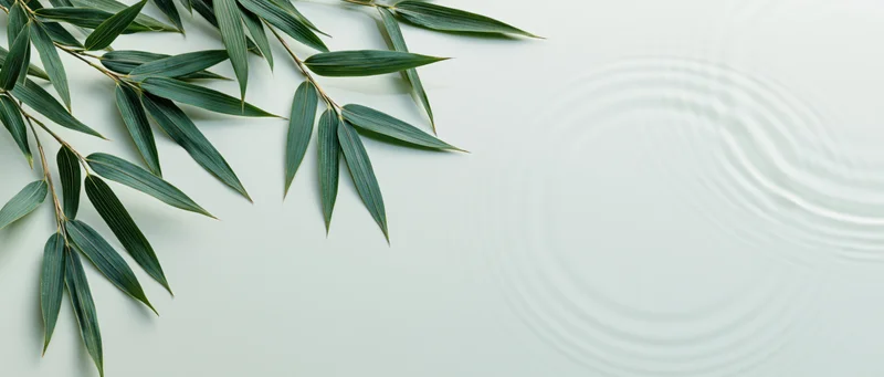 Bamboo leaves arranged on a white surface with water ripples in the background