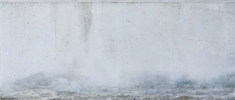 Weathered concrete wall with gray stains and speckles, showing rough texture and horizontal seam, used as a backdrop
