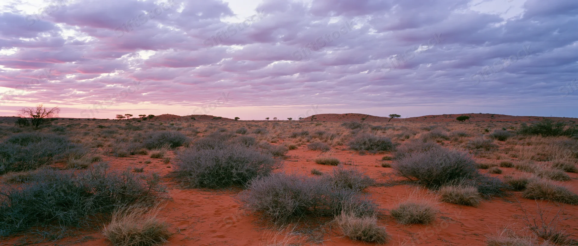 Red desert landscape with scattered shrubs under cloudy twilight sky