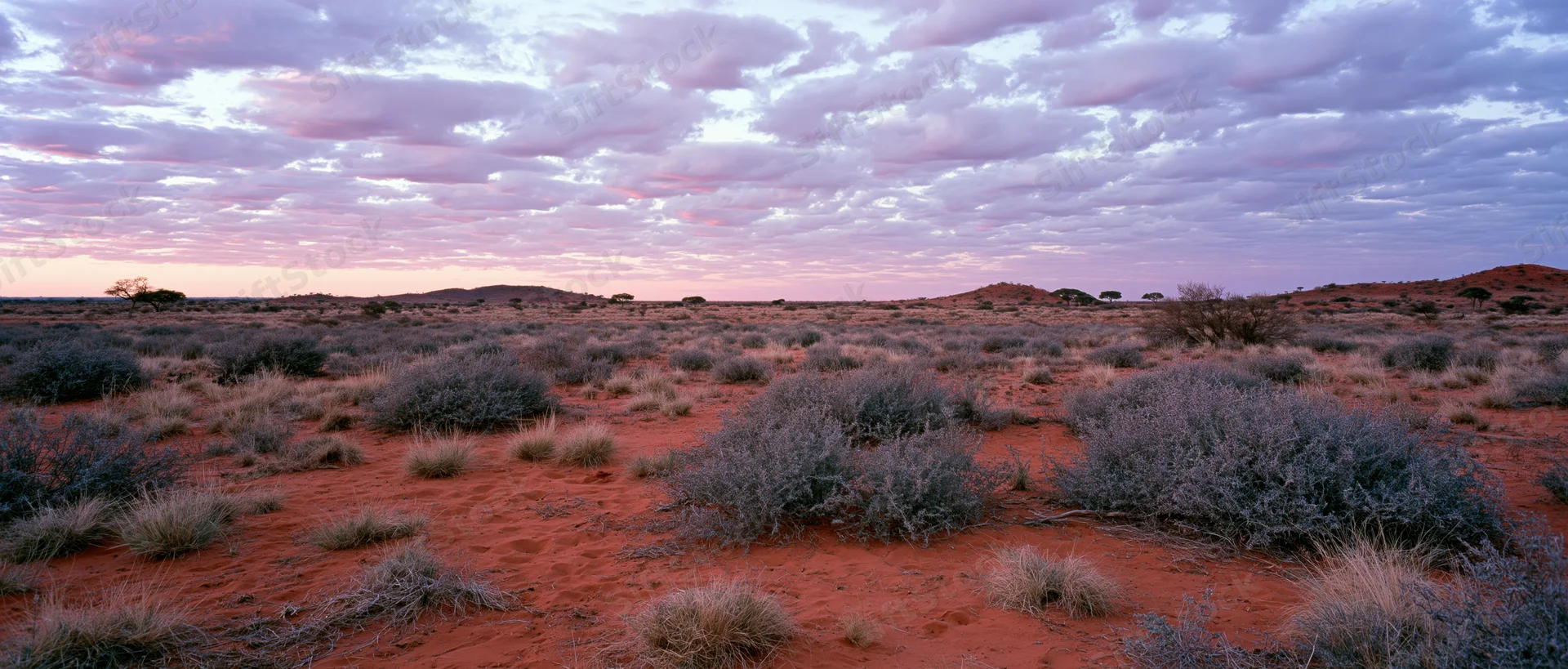 Red soil desert landscape with scattered shrubs under a pastel twilight sky