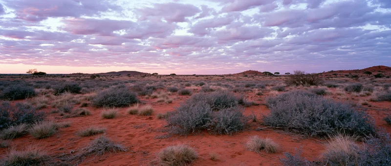 Red soil desert landscape with scattered shrubs under a pastel twilight sky
