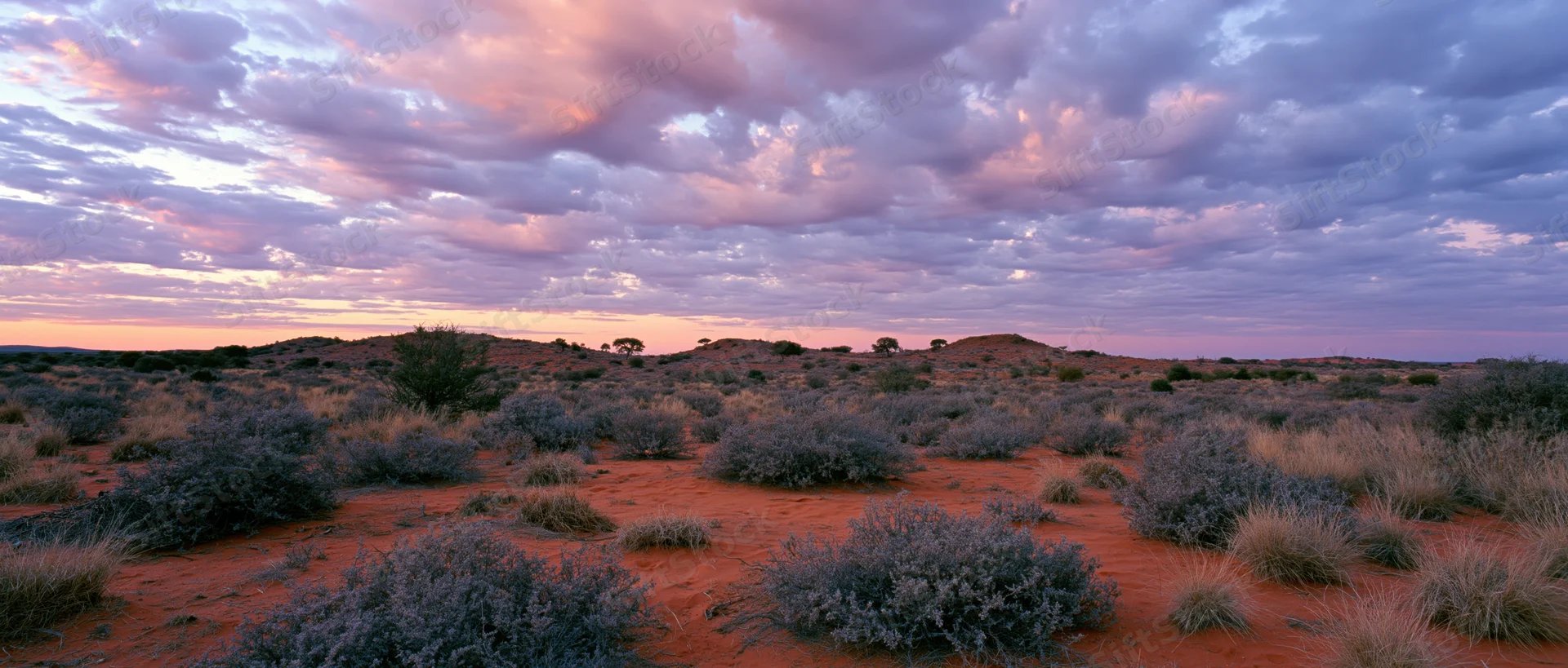 Red desert landscape at sunset with scattered shrubs under cloudy sky