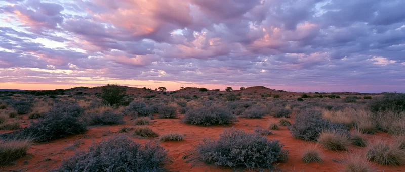 Red desert landscape at sunset with scattered shrubs under cloudy sky