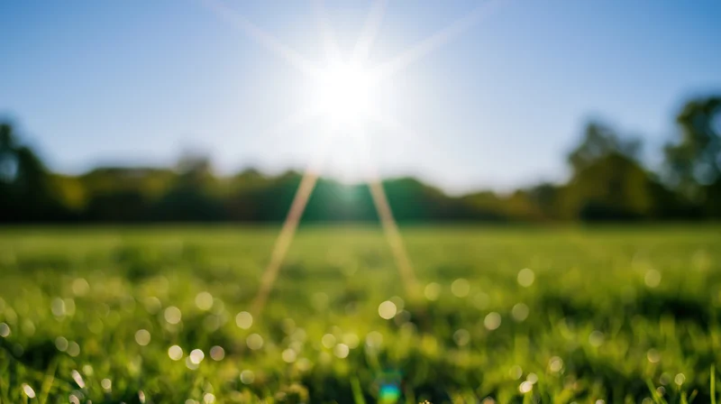 Sun shining over a green grassy field with blurred background and bokeh highlights