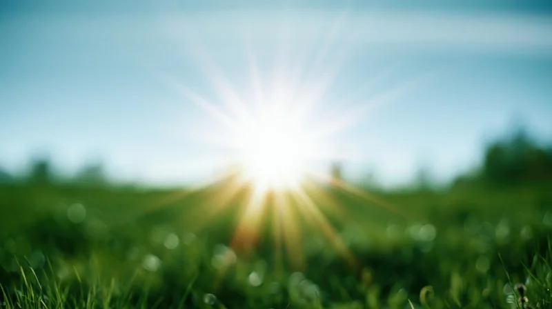 Bright sun rising over a green grassy field at dawn
