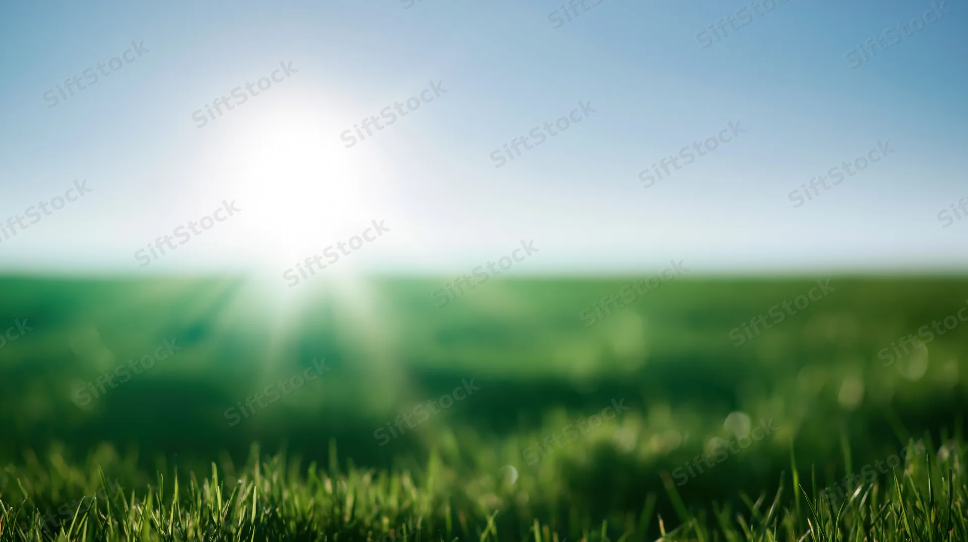 Sun shining over a green grassy field under a clear blue sky