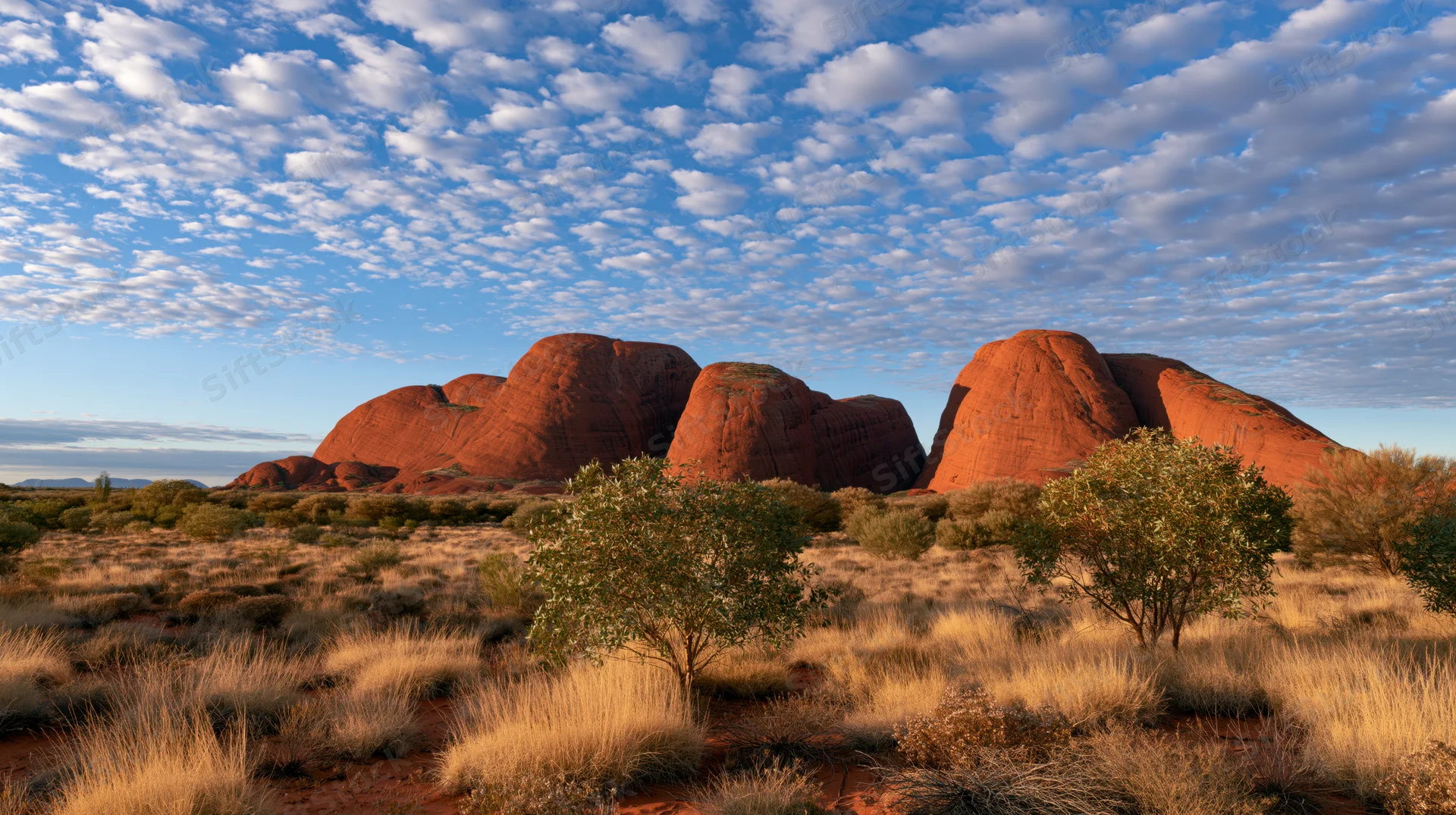 Red sandstone rock formations in the desert landscape of australia's outback at sunrise