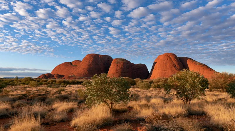 Red sandstone rock formations in the desert landscape of australia's outback at sunrise