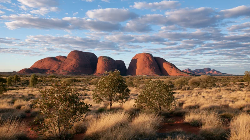 Red rock formations in the australian outback desert at dawn