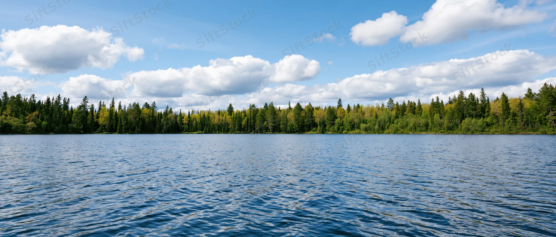 Calm lake surface with forested shoreline under partly cloudy sky
