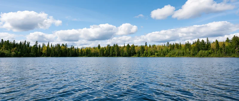 Calm lake surface with forested shoreline under partly cloudy sky