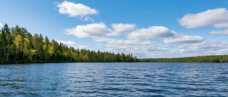 Calm lake surrounded by dense forest under a partly cloudy sky