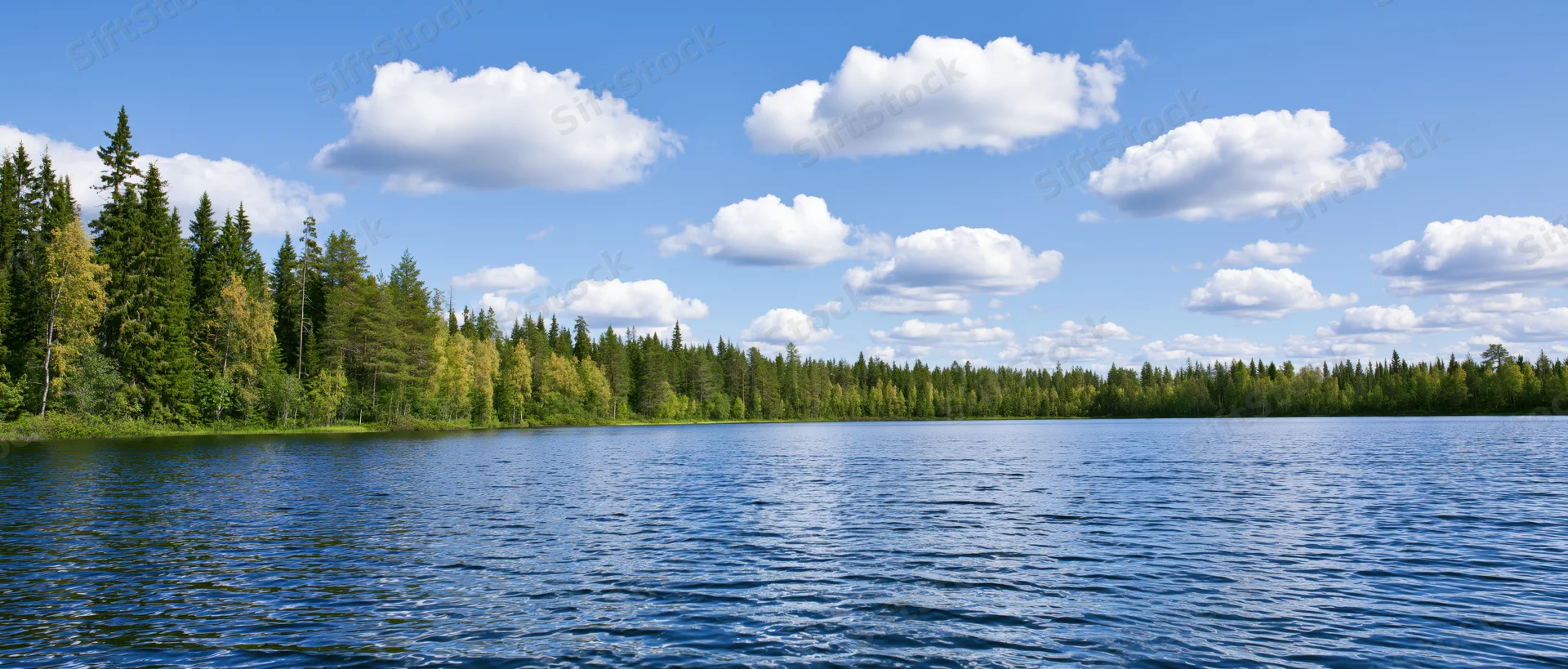 Calm lake surrounded by dense forest under a blue sky with scattered clouds