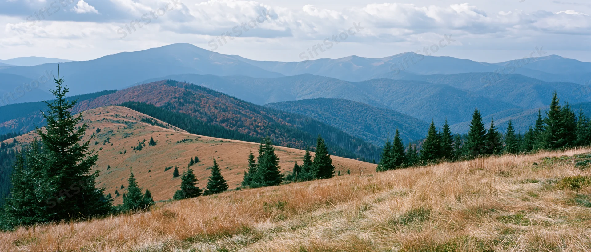 Mountain range with pine trees and grassy meadows under cloudy sky