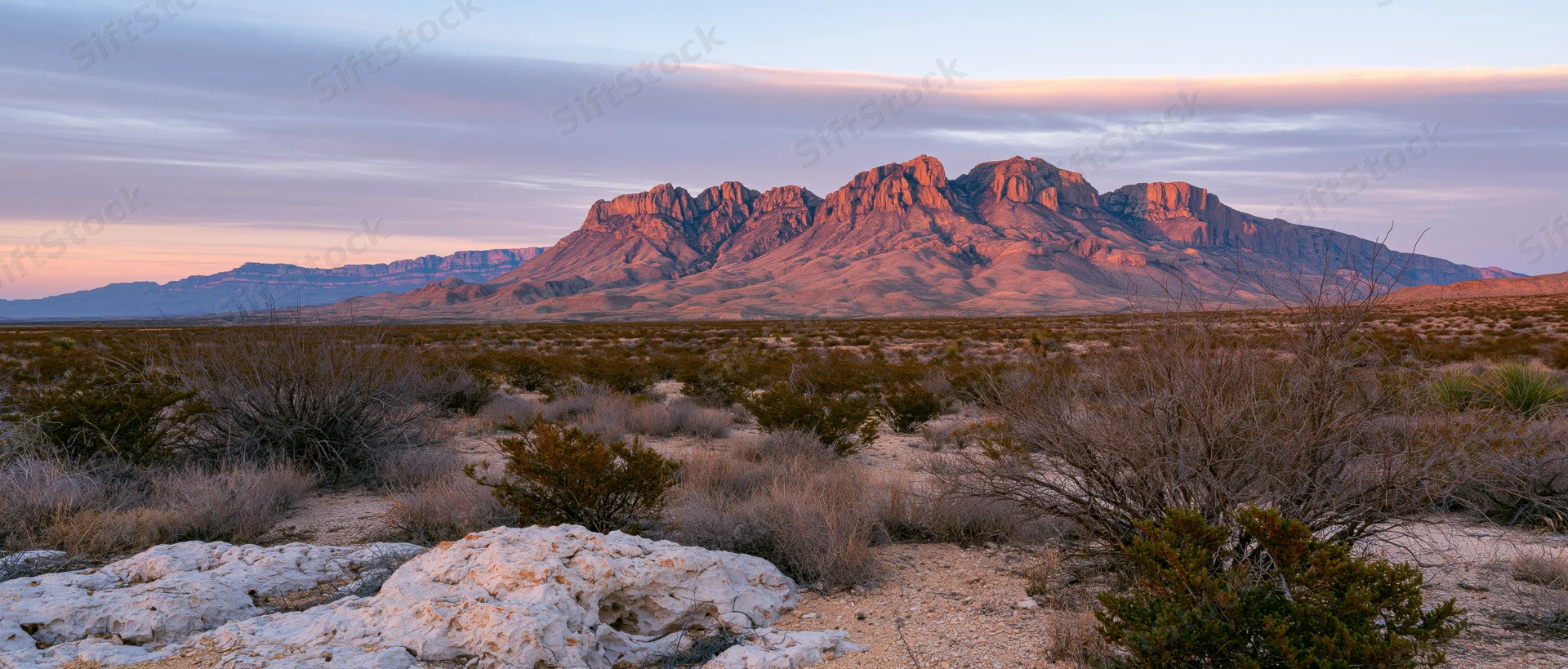 Desert landscape with rocky mountains at sunset, arid terrain and sparse shrubs in foreground