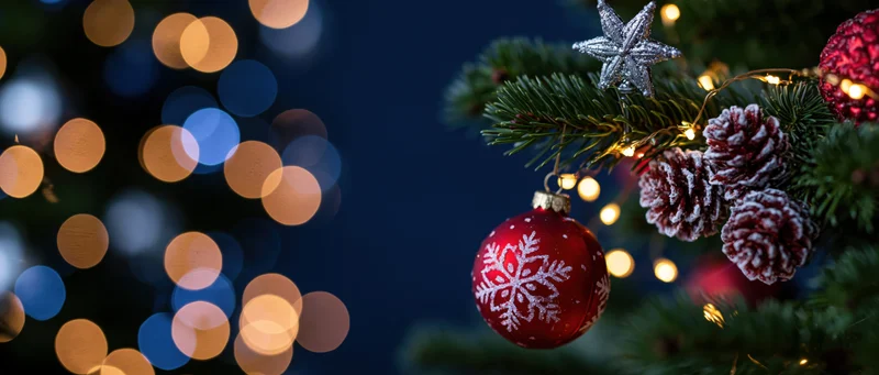 Christmas tree branch decorated with red ornament, pinecones, star, and string lights against blurred bokeh background