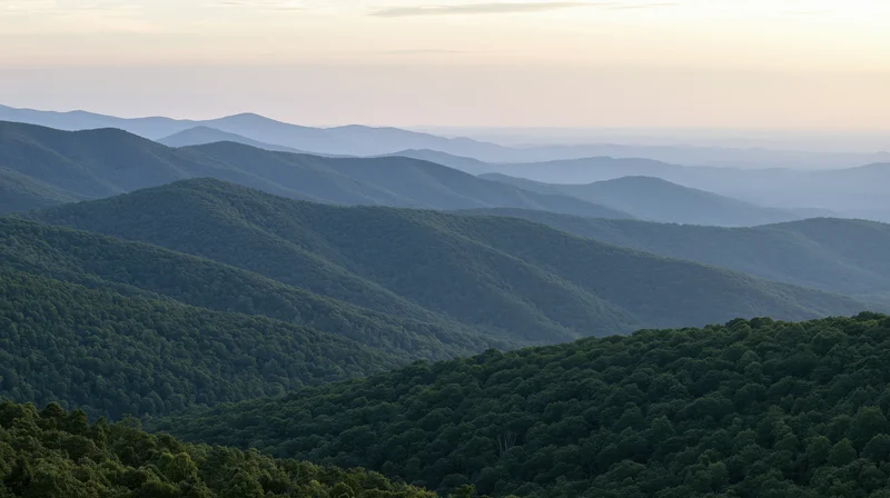 Rolling forested mountains receding into hazy distance under soft twilight sky