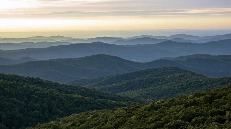 Rolling forested mountains layered in haze under soft dawn sky