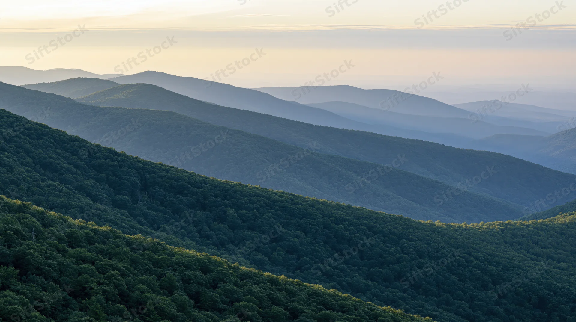 Layered mountain ridges covered in dense forest under soft twilight sky