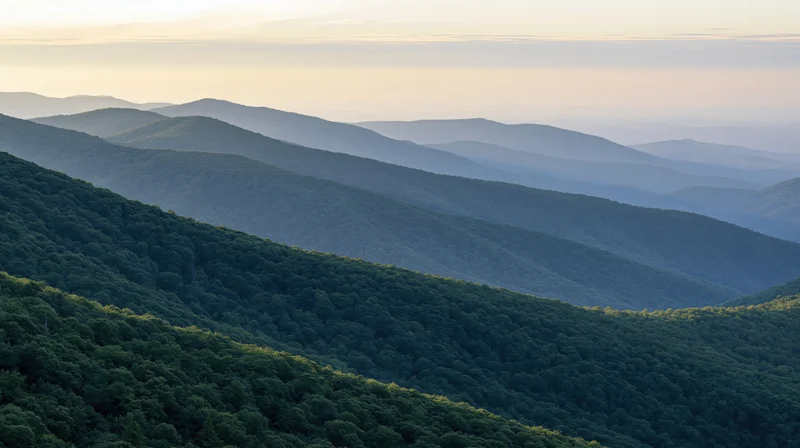Layered mountain ridges covered in dense forest under soft twilight sky