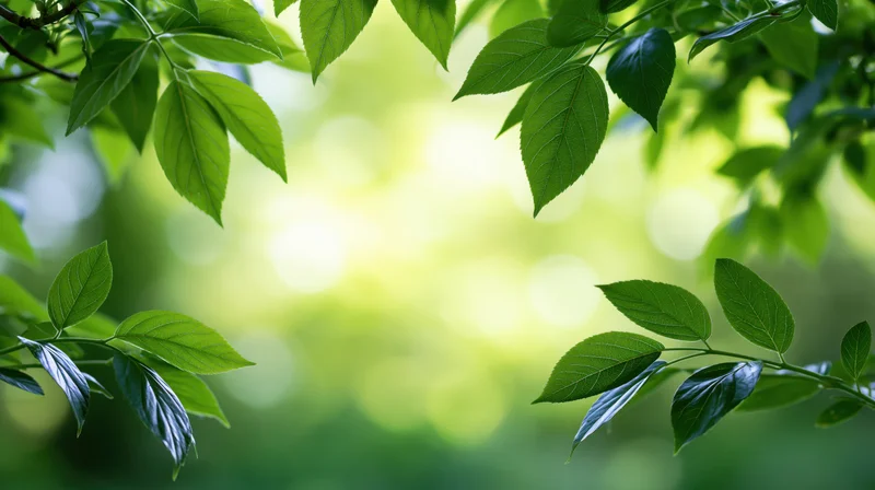 Green leaves on branches framing a bright bokeh background with natural sunlight filtering through