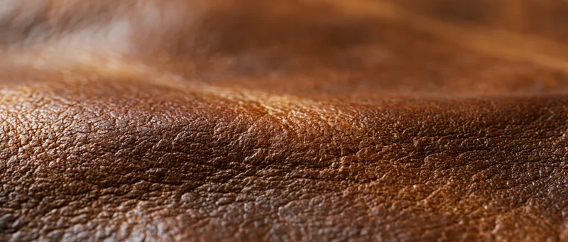 Closeup of brown leather surface showing natural grain and texture