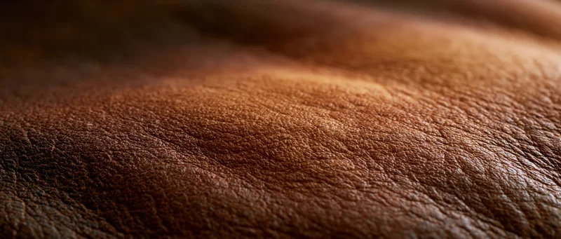 Closeup of brown leather surface showing natural grain and texture