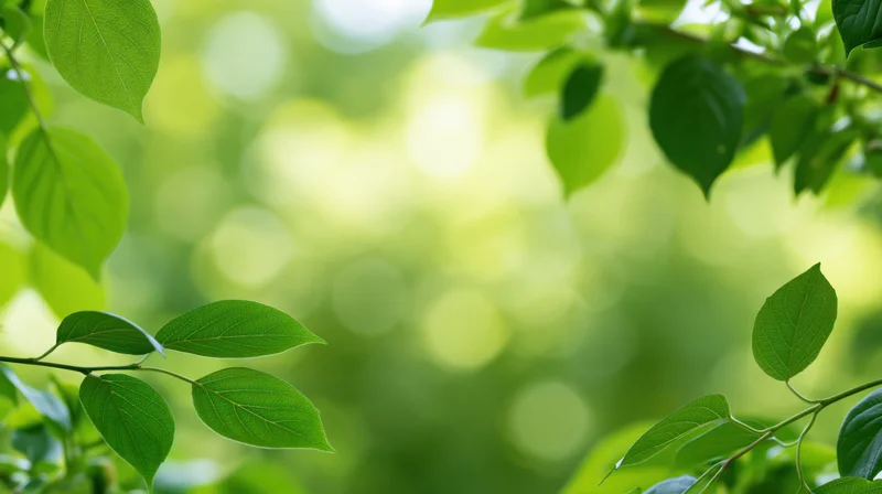 Green leaves on branches in a sunlit natural setting with blurred background and copyspace