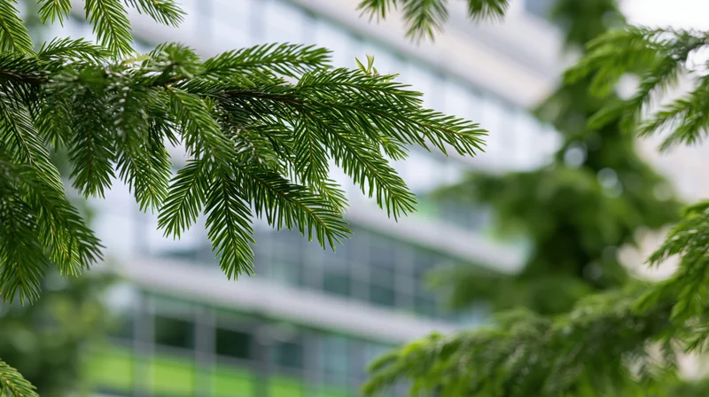 Pine branch with green needles in focus against blurred modern glass building background