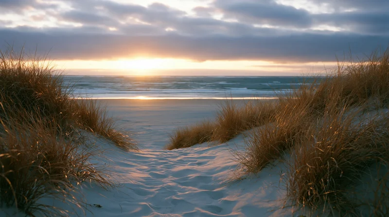 Sandy path through dunes leading to ocean at sunset