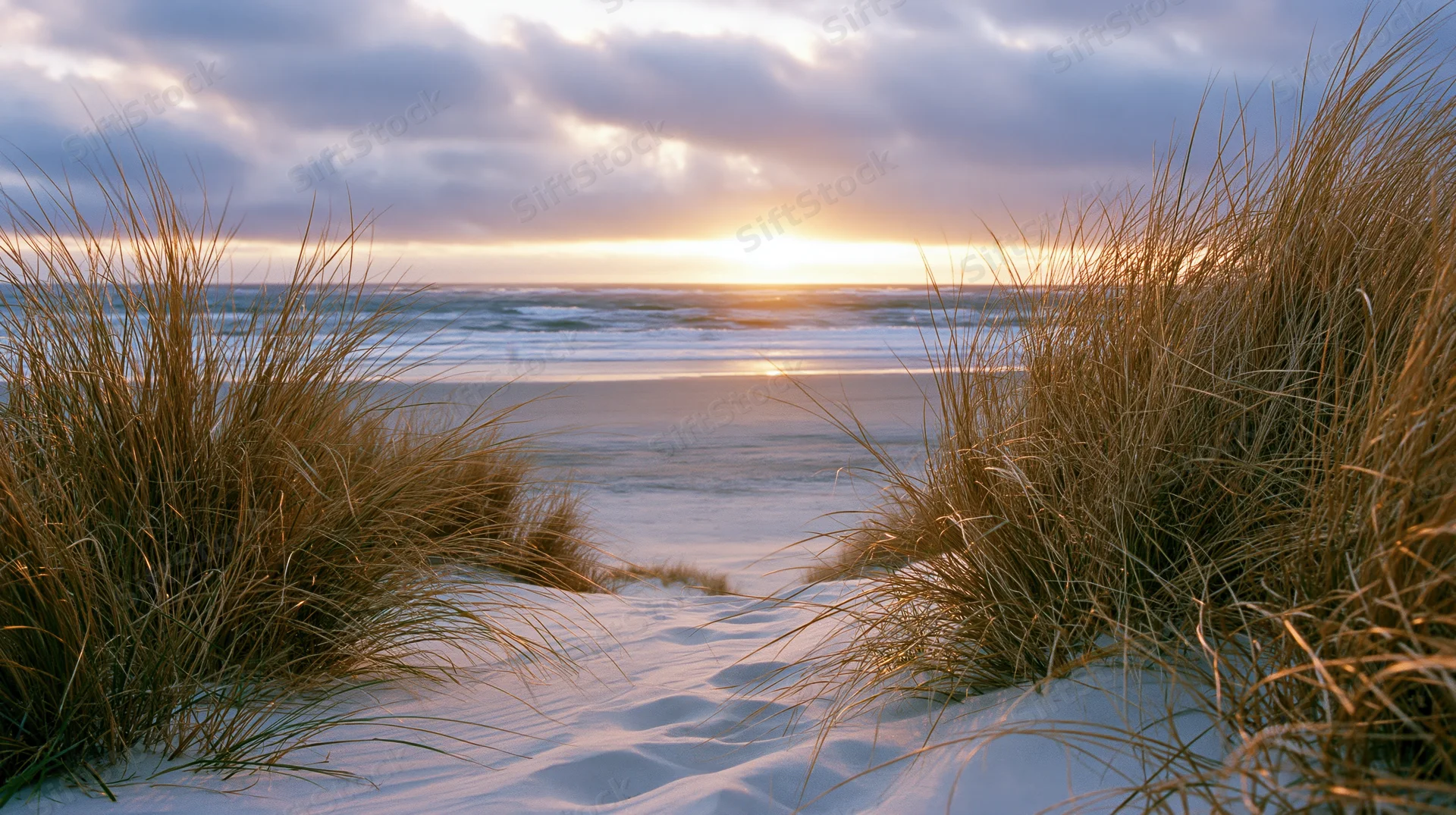 Dunes with beach grass framing a sunset over the ocean at golden hour