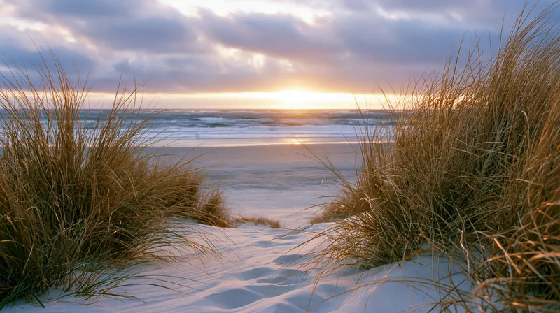 Dunes with beach grass framing a sunset over the ocean at golden hour