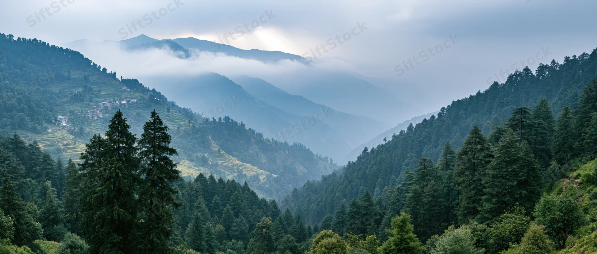 Misty mountain valley with dense pine forest and layered hills under overcast sky