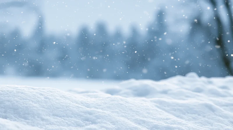 Snow-covered ground with falling snowflakes in a winter forest landscape